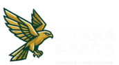 shikrafeeds.com